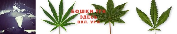 каннабис Аркадак