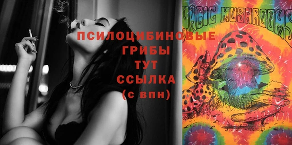 мдпв Арсеньев