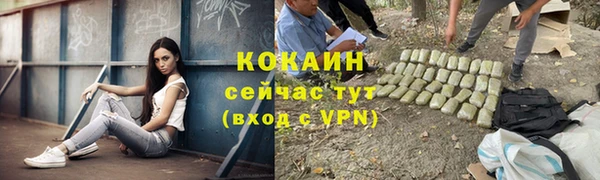 тгк Армянск