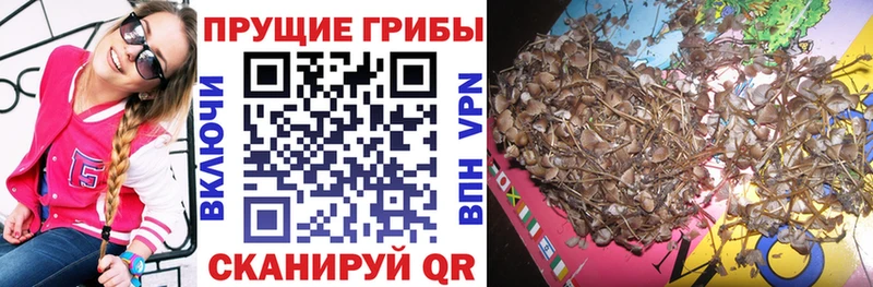 Галлюциногенные грибы Magic Shrooms  где купить наркотик  кракен онион  Жигулёвск 